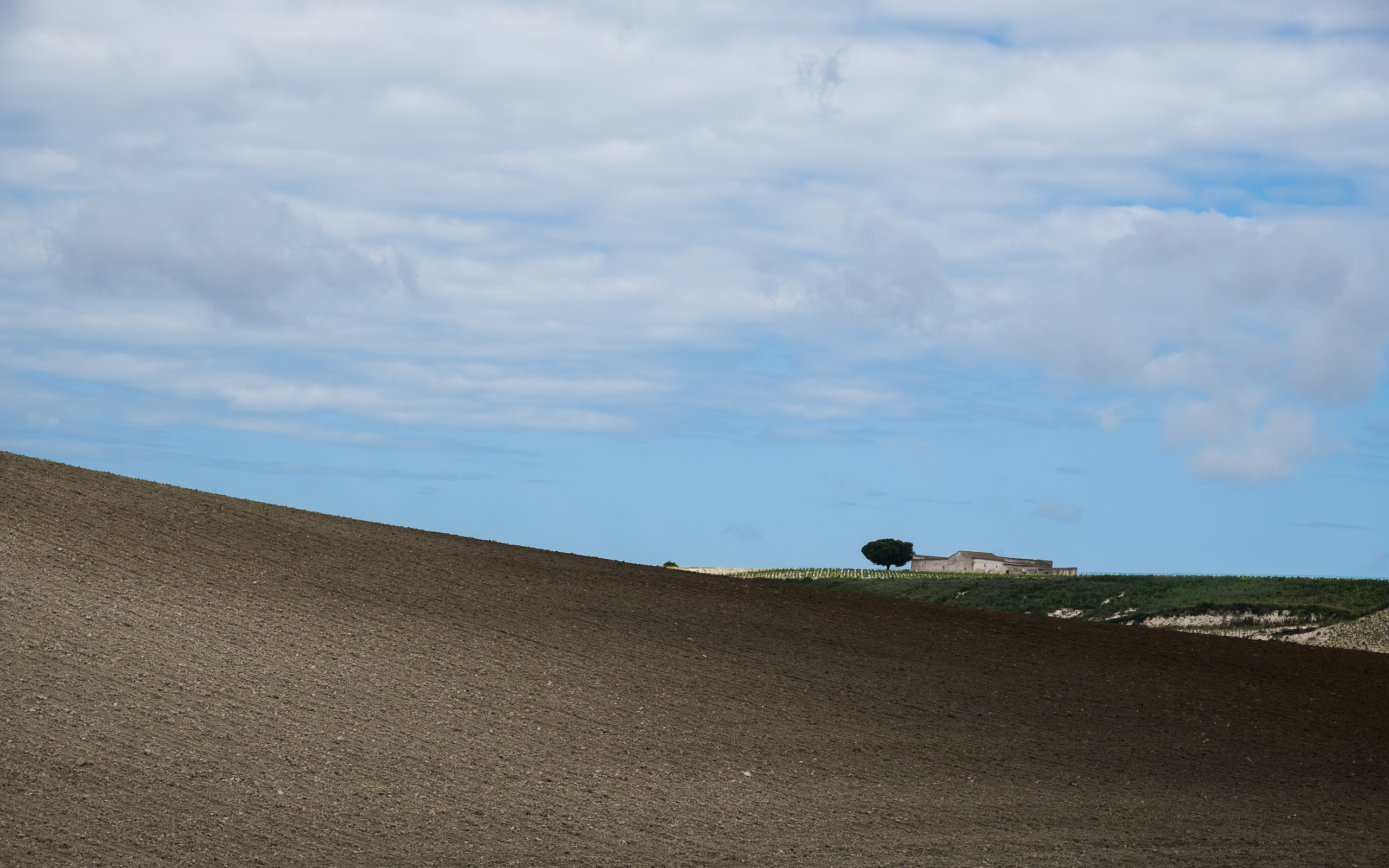 Gepflügtes Feld mit einsamen Baum am Horizont